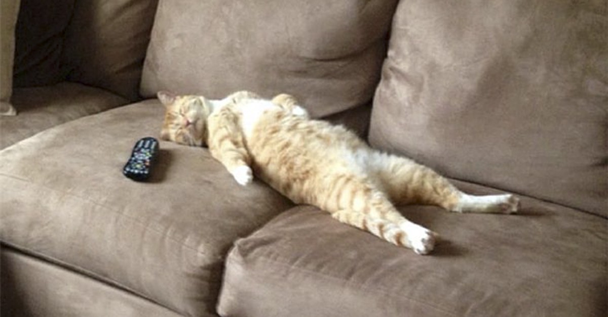 lazy loading